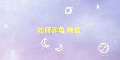 如何养龟 喂食